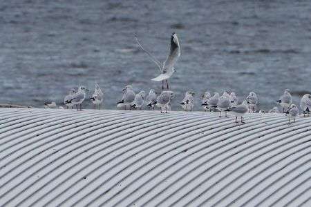 お帰りなさい〜！！