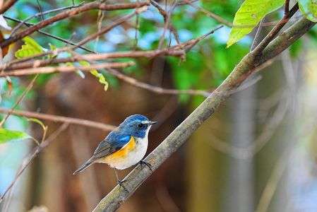 シーズン初　ようやく出会えました