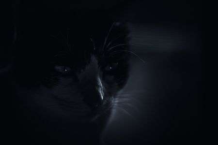 君は今なにを思う