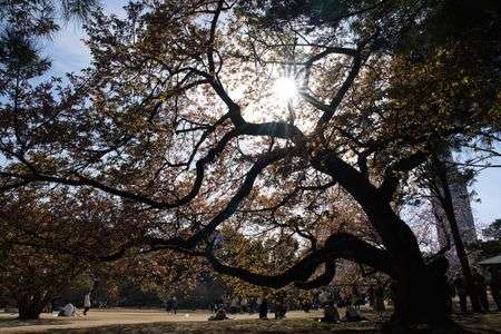 春の陽気の兆し
