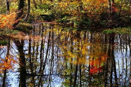 秋色の水辺にて
