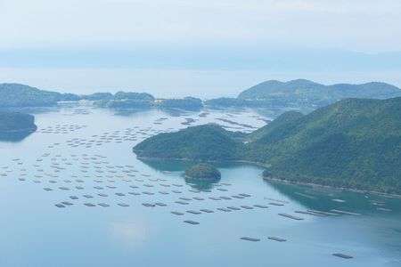 養殖いかだの海