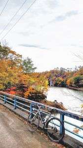 紅葉サイクリング