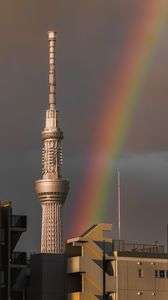 スカイツリーと虹