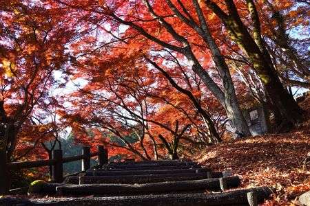 階段を昇ると見事な紅葉