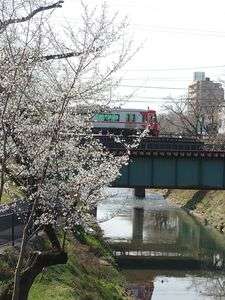 桜と電車