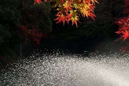 富山　高岡古城公園