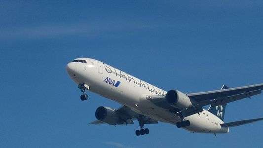 豊中つばさ公園(伊丹空港) 2025/11 ANA スターアライアンス B767