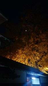 ライト x ライト