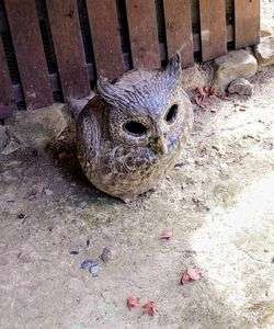 永観堂　見守る木兎