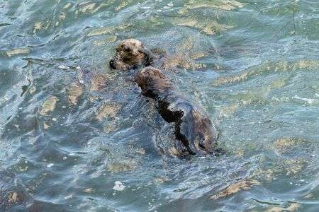 おっきかったねん