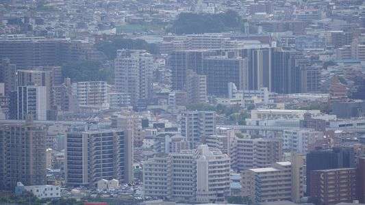 福岡　井野山　登山  2024/10/20