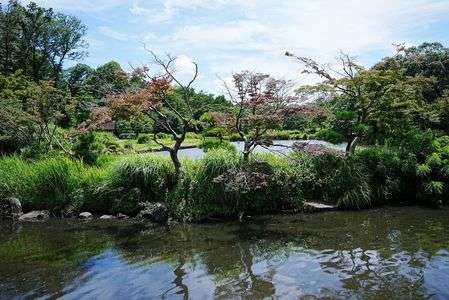 水面に映る夏の記憶