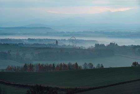 観覧車のある丘