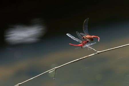 A6700のesだとこんな写真が量産されます