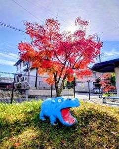 児童遊園の紅葉