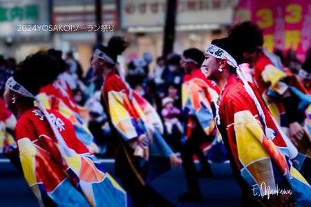 2024YOSAKOIソーラン祭り