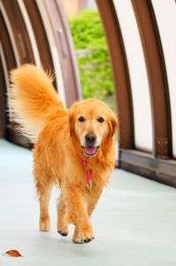 夏と秋のはざま