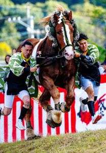 祭礼駿馬