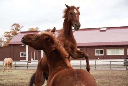 ちょっと男子ぃ〜！