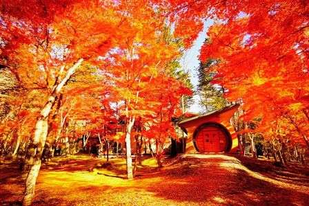 真紅に染る庭園