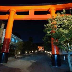 伏見稲荷の夜景