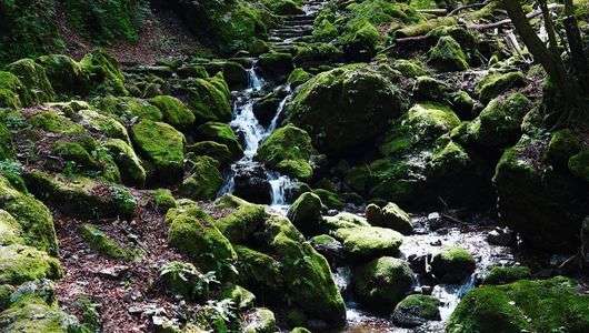 御岳ロックガーデン