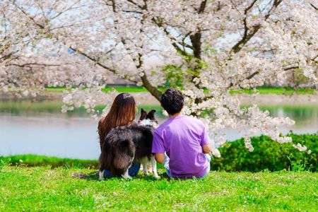 2024春の家族写真