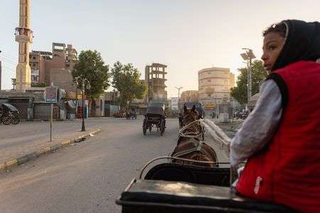 エジプトの朝と少年の御者