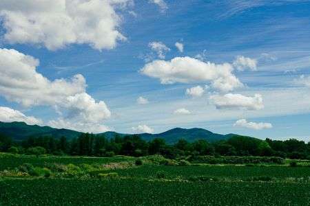 北海道のふつう