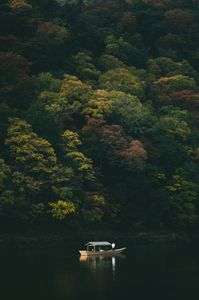 Serene  Moments in Arashiyama