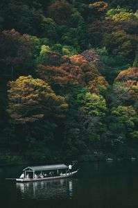 秋を翔けるよ屋形船