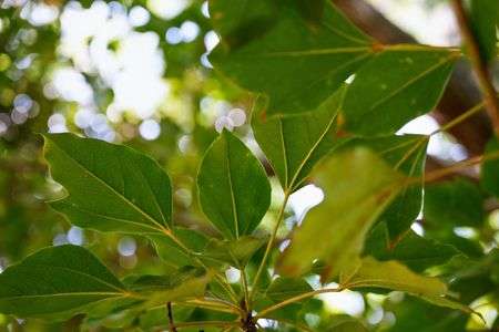 秋のスタート地点