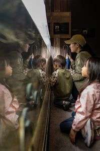 淡水魚の水族館にて