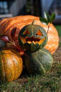 やっほっほー！