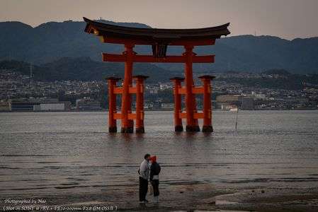 Autumn trip to MIYAJIMA