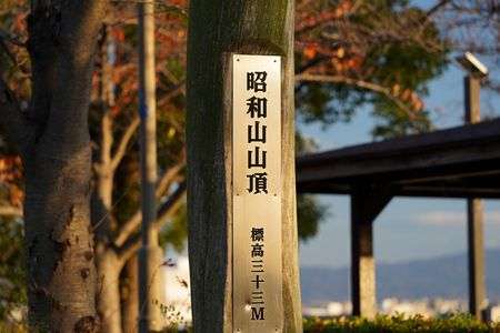 昭和山山頂　標高三十三M