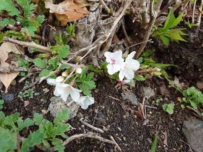 おしゃれは足元から✨