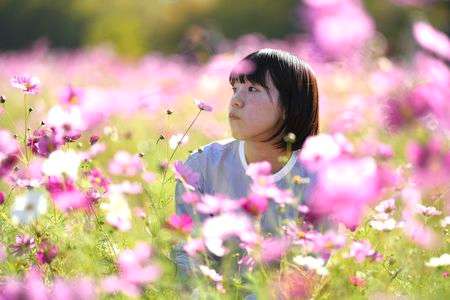 コスモスポートレート