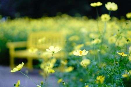 待ち人　#カレンダー2024