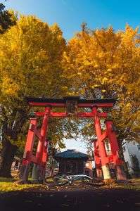 ギリギリ滑り込みの秋