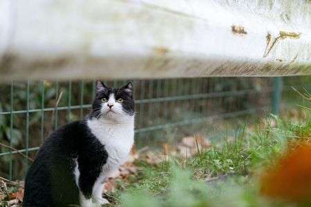 上に何があるんだい