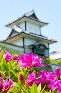 2025年GW 新緑の兼六園周辺