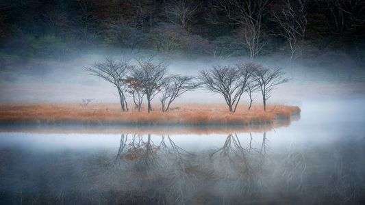 朝靄に包まれる覚満淵