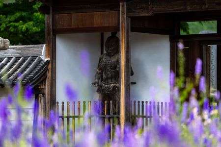 花を纏う仁王さん