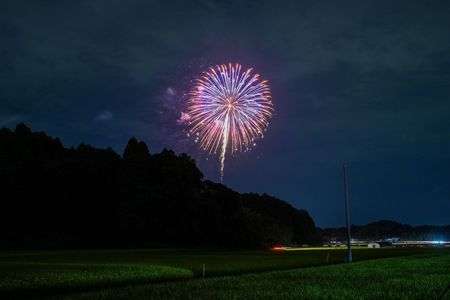 田んぼの中から