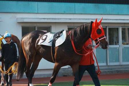 白砂が舞う、その一瞬。