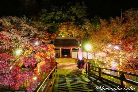 室生寺紅葉ライトアップ