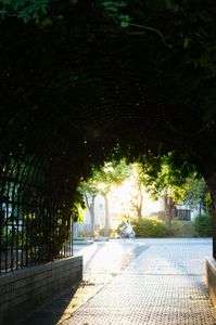 トンネルの向こう側