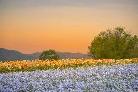 ブルーとオレンジ